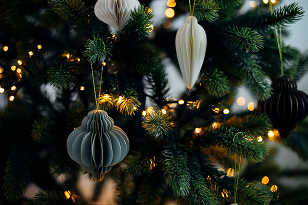 Christmas tree with lights